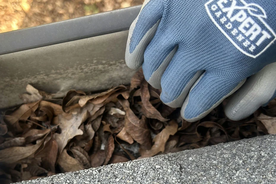 Gutter Cleaning Portsmouth VA