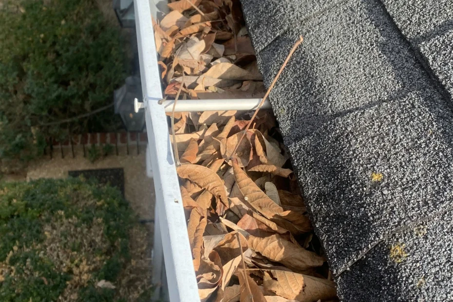 Gutter Cleaning Portsmouth VA