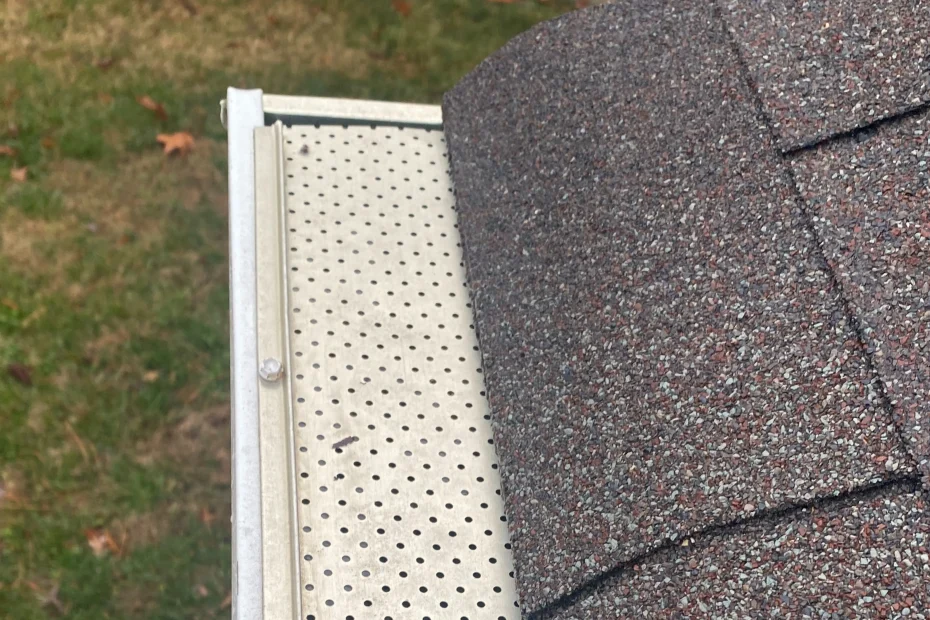 Gutter Cleaning Portsmouth VA